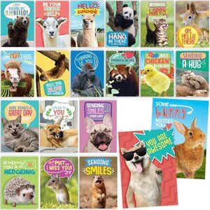 40 Funny Animal Postcards Bulk Pack for Kids Friends Students TeachersNote Cards